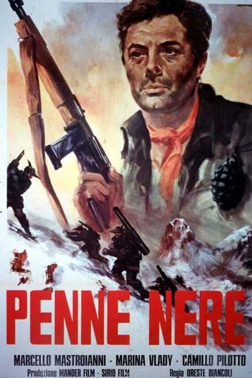 Постер Penne nere